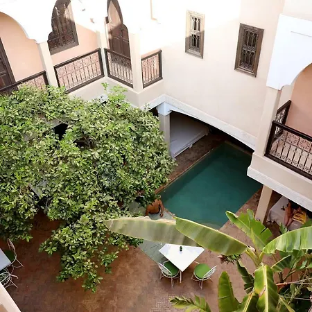 Riad L'Oiseau Du Paradis-2